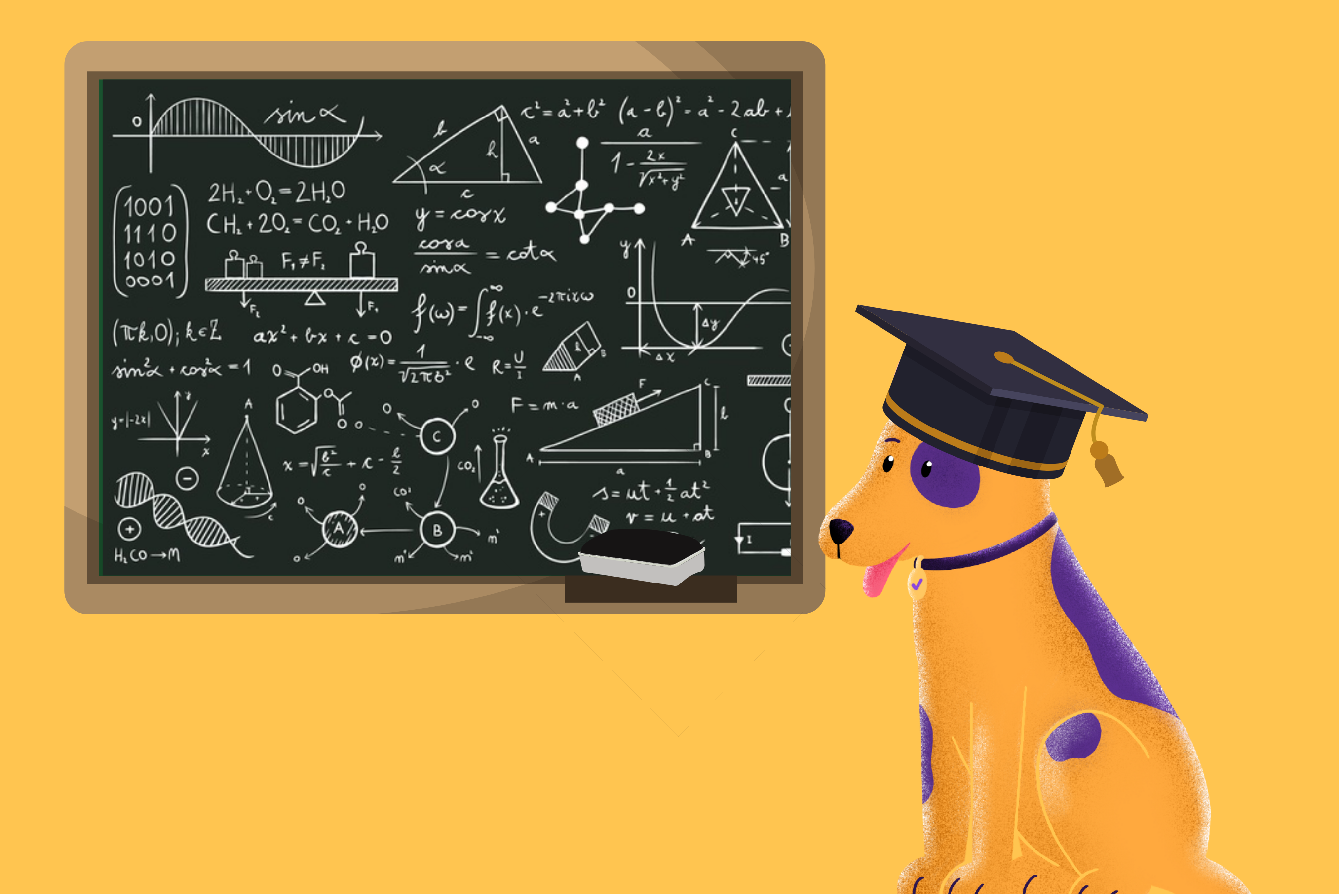 Formulevelden en meer! 🧮