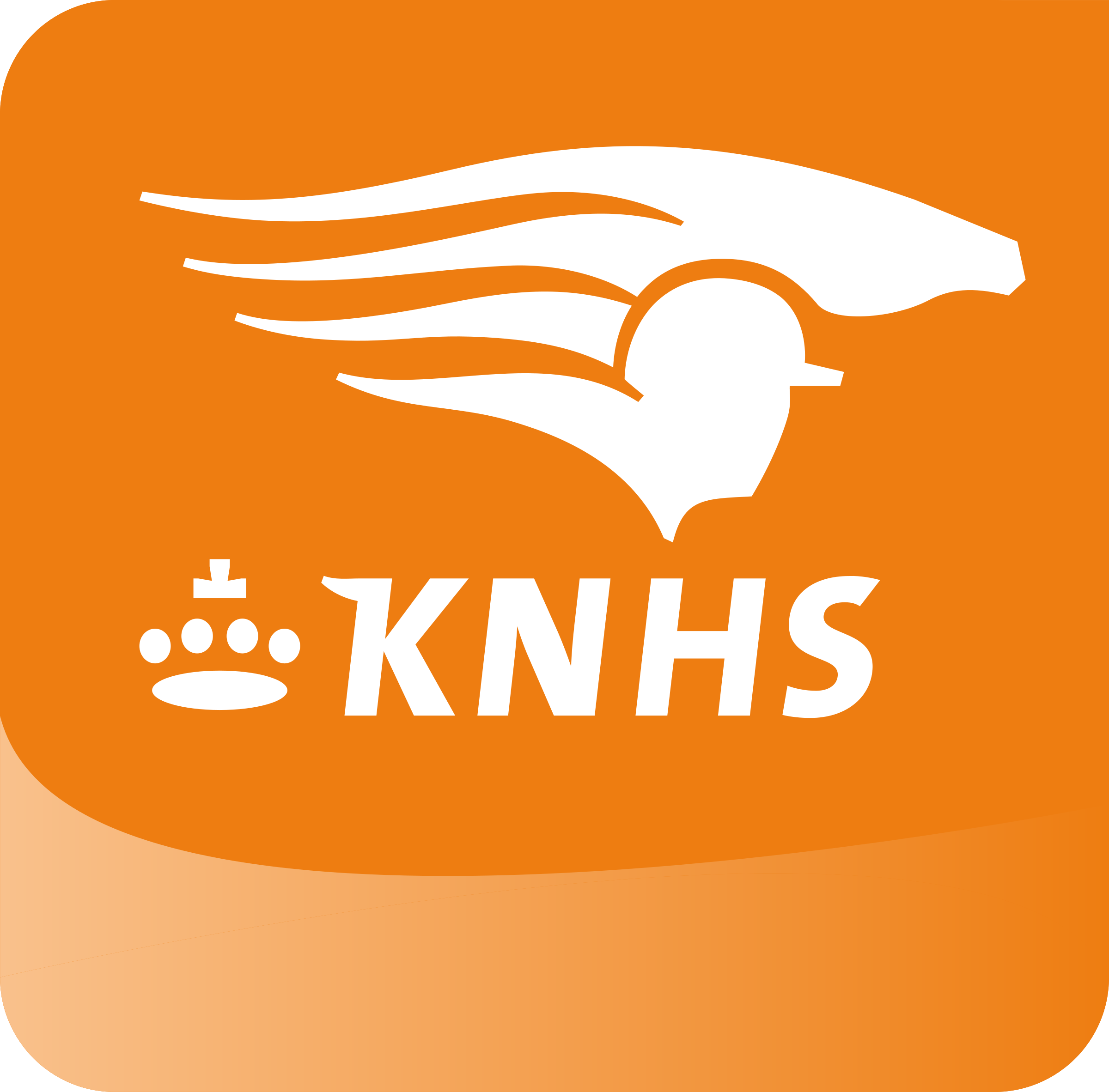 Meer overzicht en samenwerking bij KNHS dankzij vPlan! 🐴 logo