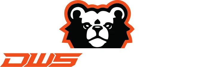 dws logo