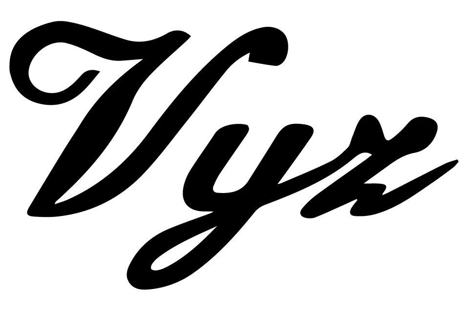 vijz logo